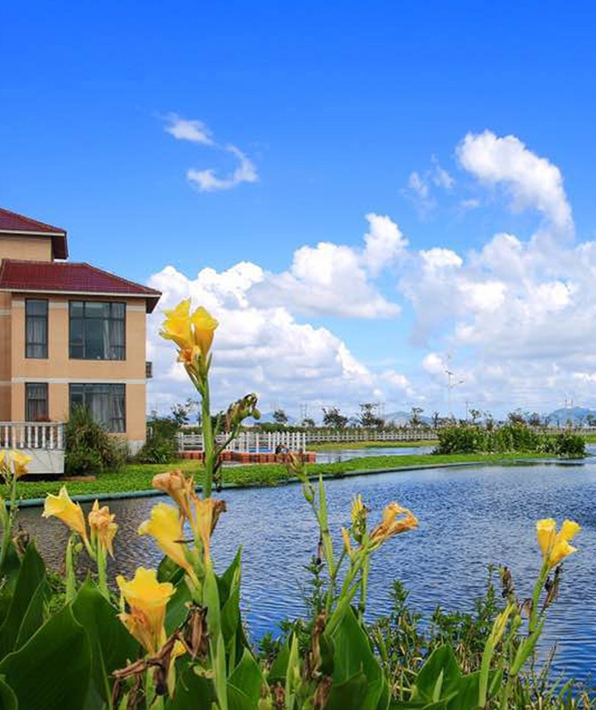 凯时·[中国]官方网站