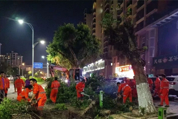 凯时·[中国]官方网站